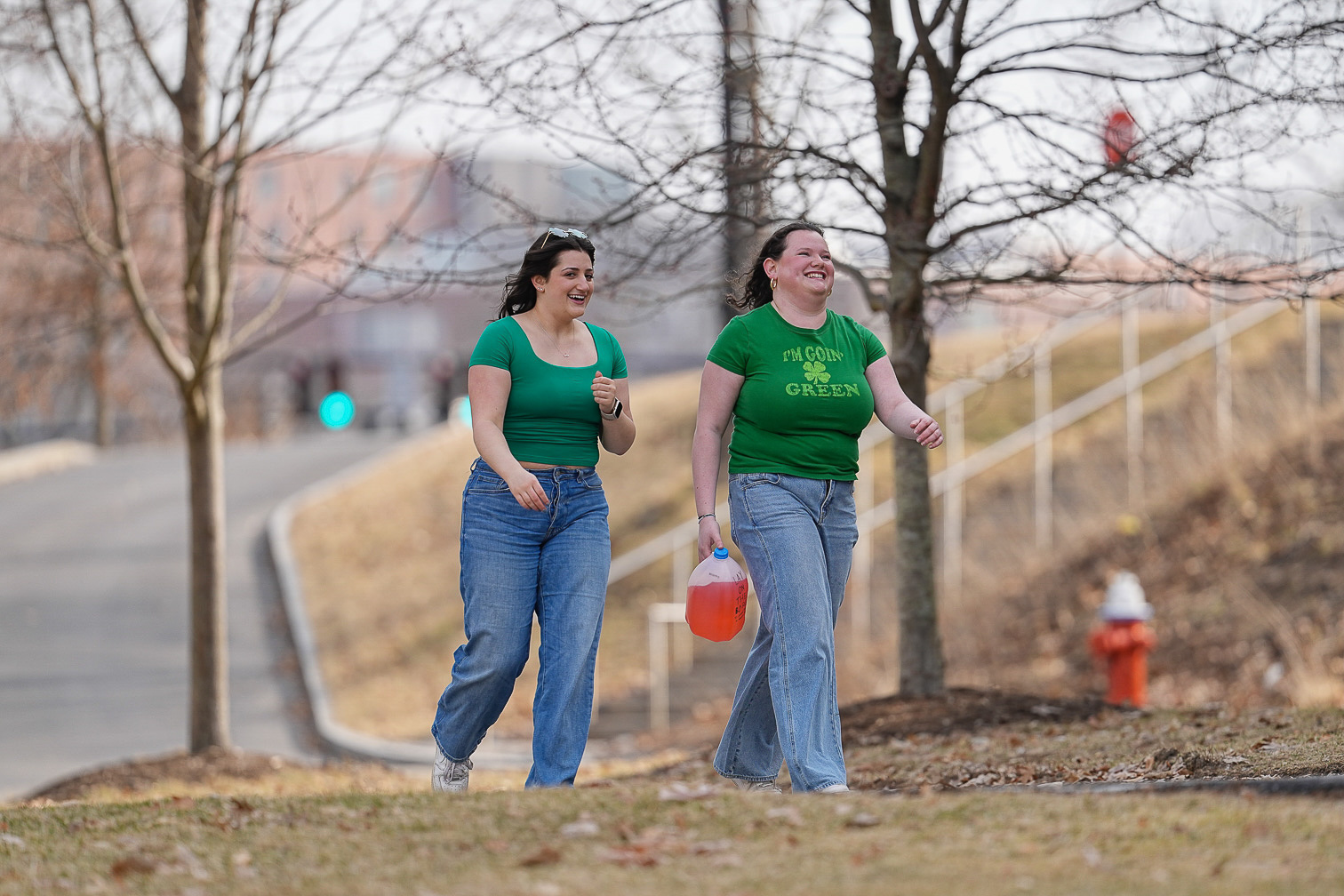 St. Patrick's Day at Cornell 2025